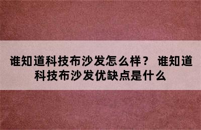 谁知道科技布沙发怎么样？ 谁知道科技布沙发优缺点是什么